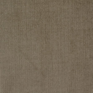 Velours milleraies  fin BIO – Beige khaki